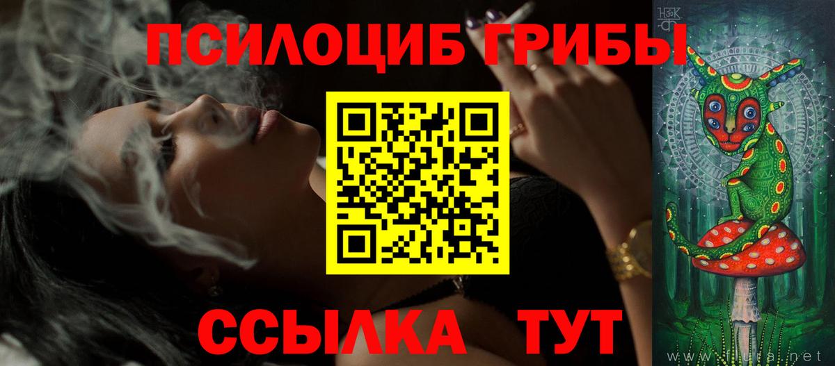 сколько стоит  Псилоцибиновые грибы Psilocybe  Вход с VPN  Отрадный 