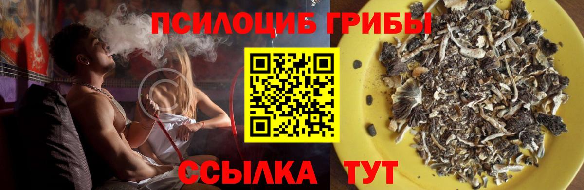 Галлюциногенные грибы Psilocybine cubensis Отрадный